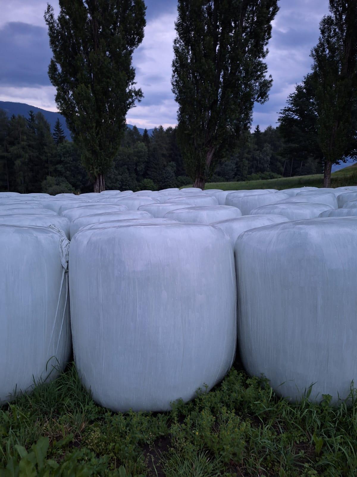 Silageballen 1. Schnitt 2025 2