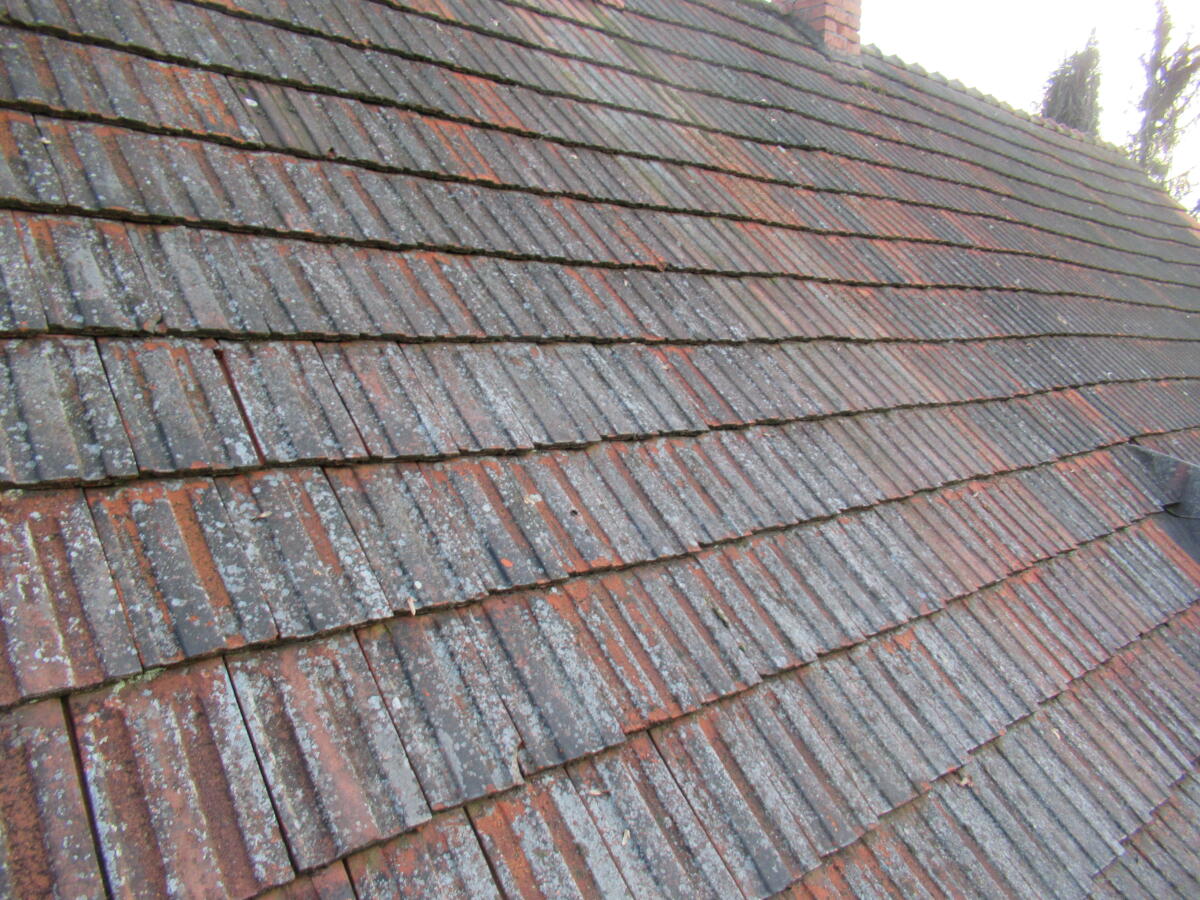 Dachziegel zu verschenken 3