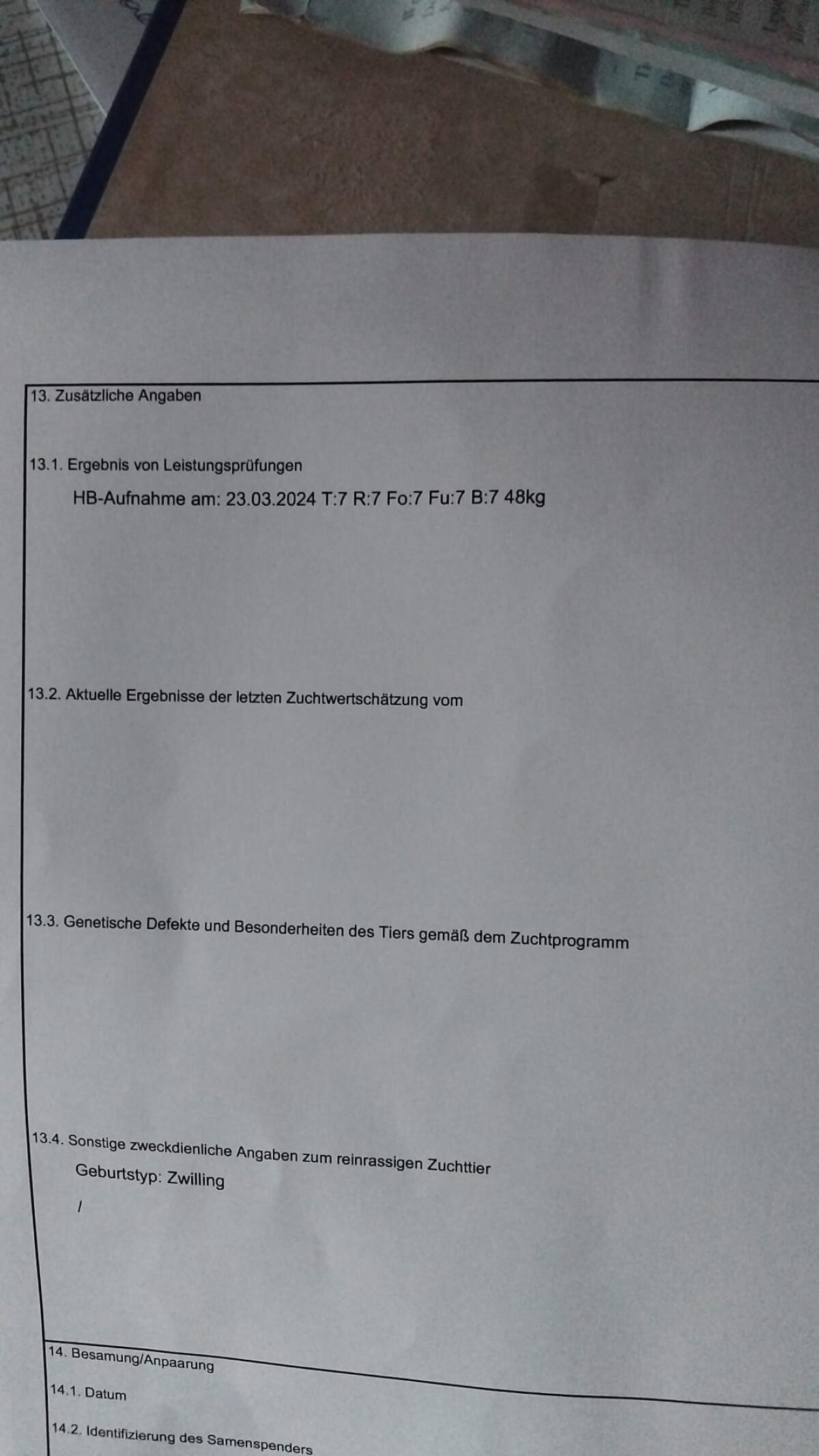 Verkaufe Bündner Strahlenziegenbock 3