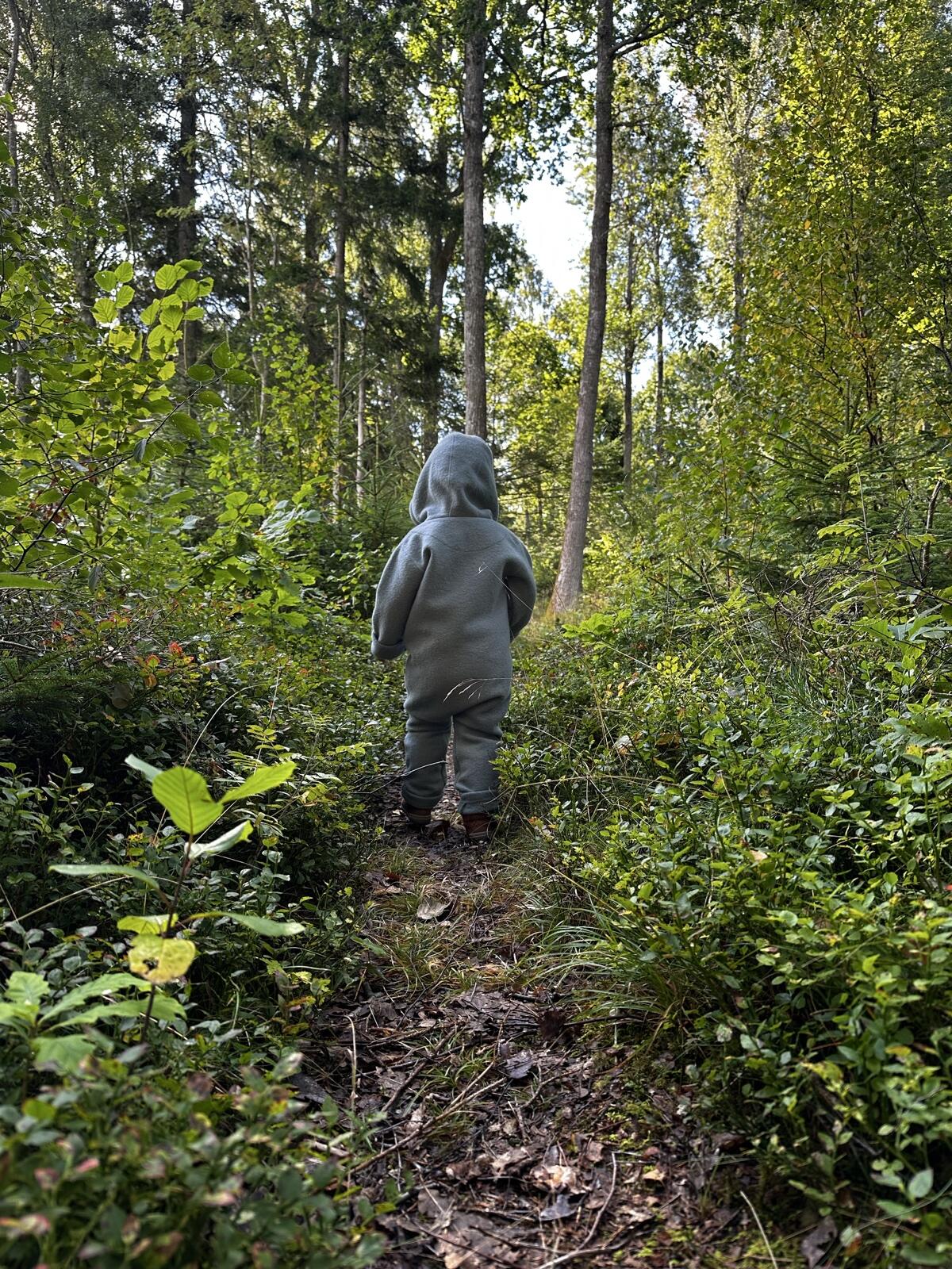 Privat suchen Wald nördlich von Salzburg 2