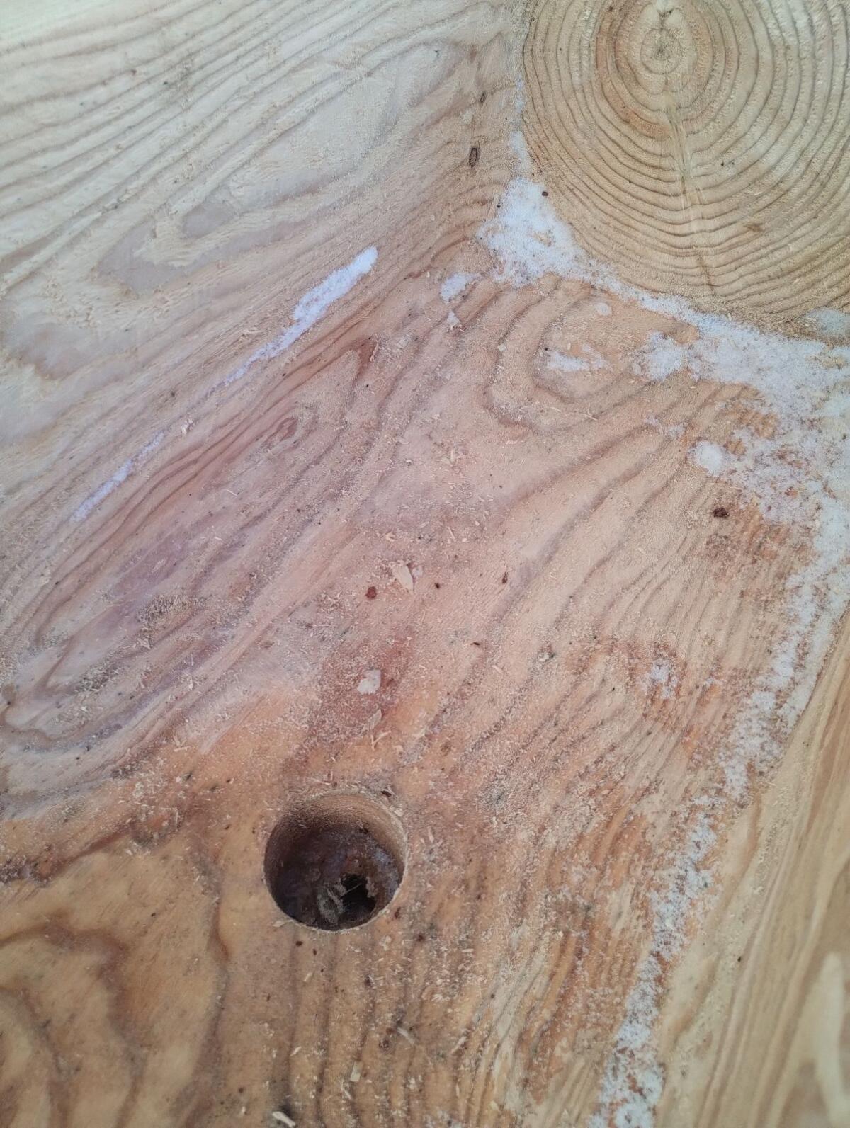 Brunntrog, Brunnentrog, Brunnen, Lärche 2