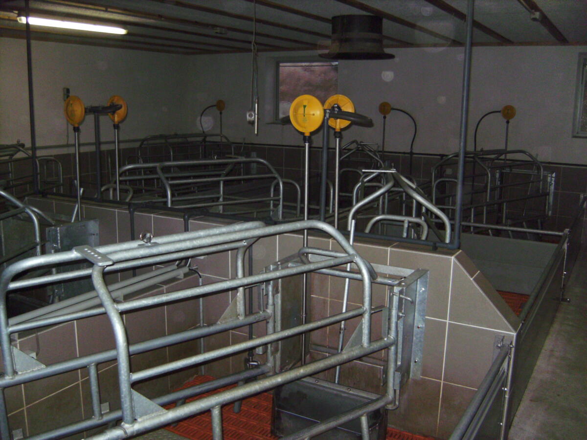 Big Dutchman (Schnait) Abferkelbuchten 3