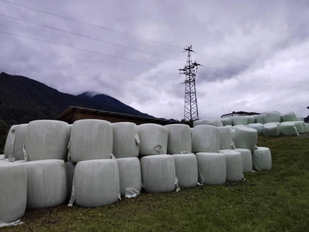 Maisballen zu verkaufen 2