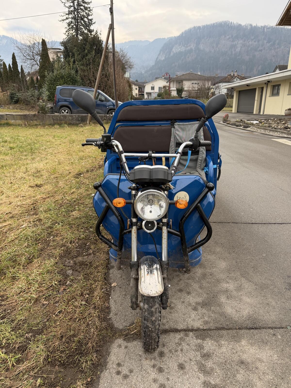 LDR25 Elektro-Lastenrad / Lastentrike - 25 km/h 2