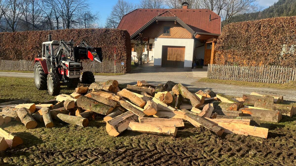 Kegelspalter mit Euroaufnahme Holzspalter Erdbohrer 2