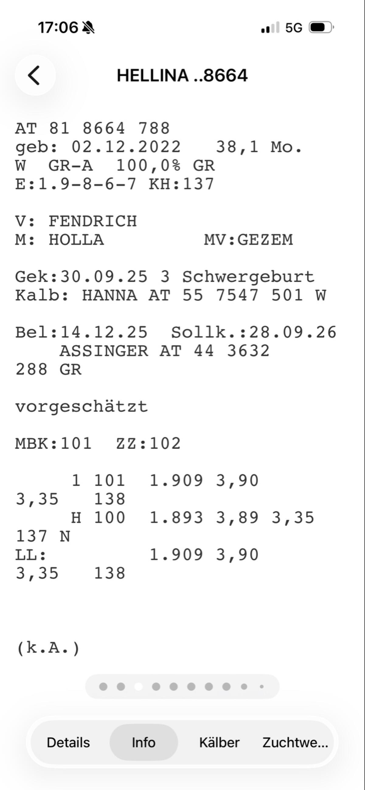 Grauvieh Erstlingskuh hornlos 3