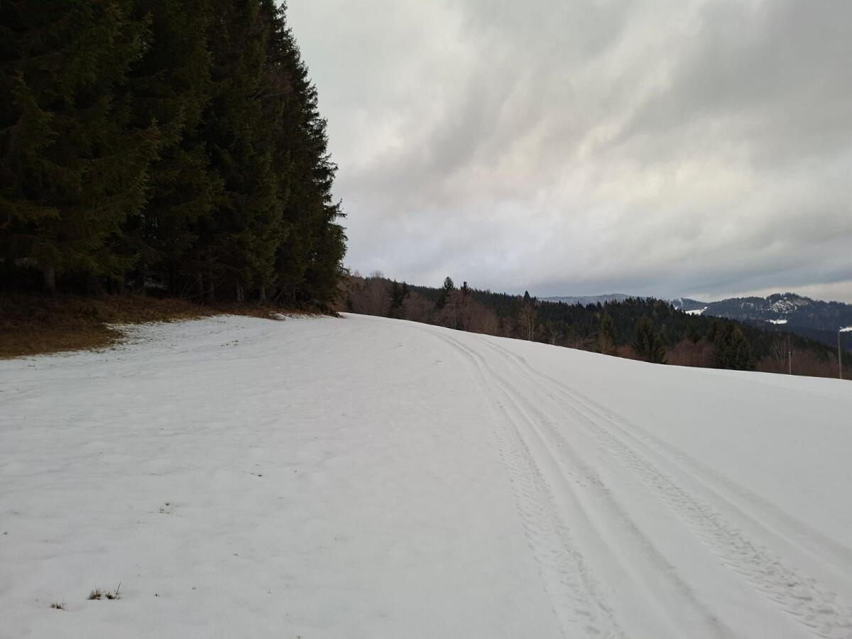 Landwirtschaftliche Fläche 3