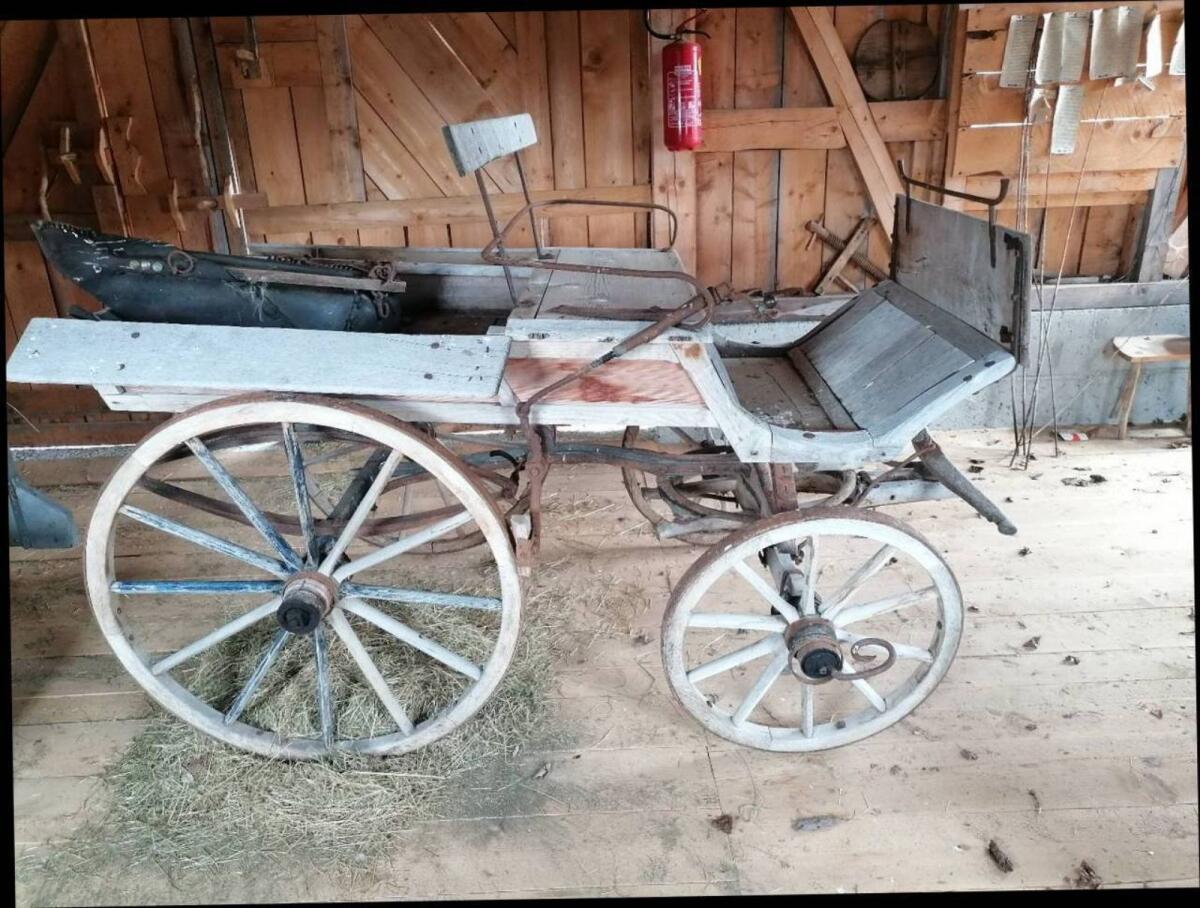 Original Steirerwagerl 2