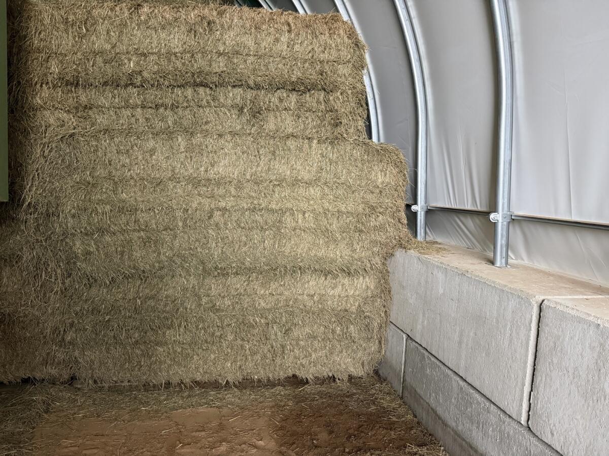 Quaderballen Heu / Grummet 2