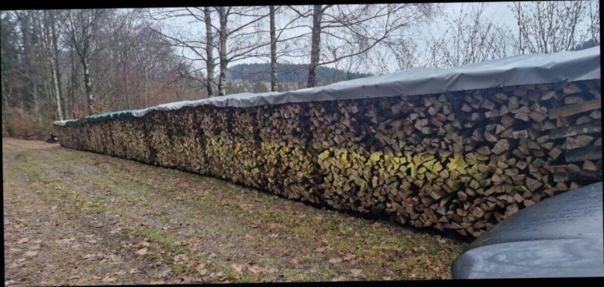 Brennholz Buche Bündel 2