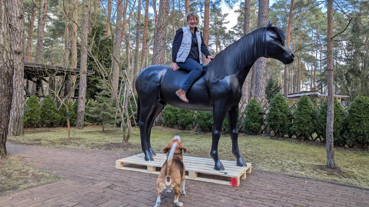 Pferd lebensgroß in 3D zum Aufsitzen bis 100 kg belastbar 2
