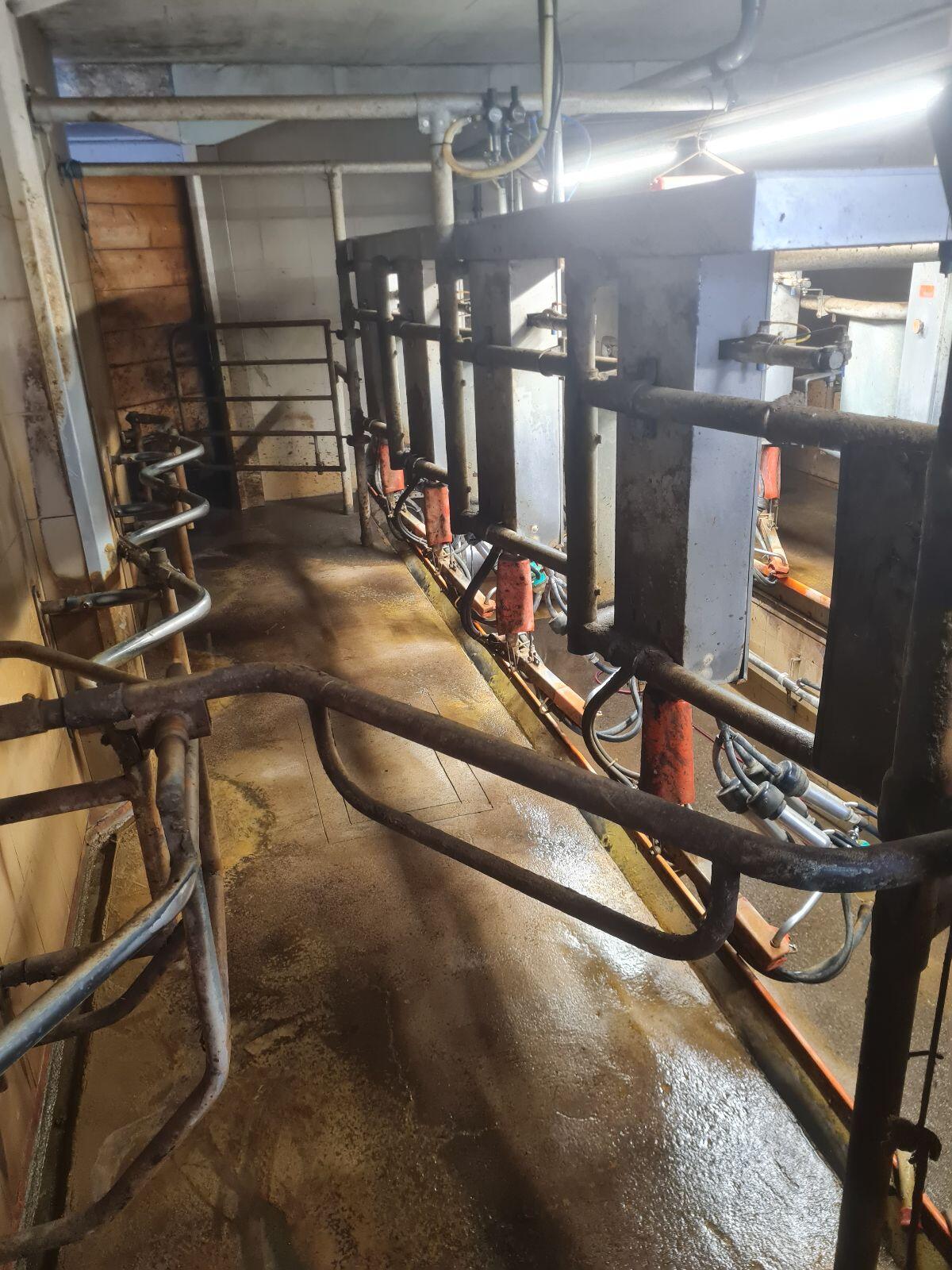 Melkstand 2x4 Fischgrät System Happel Robotex 2