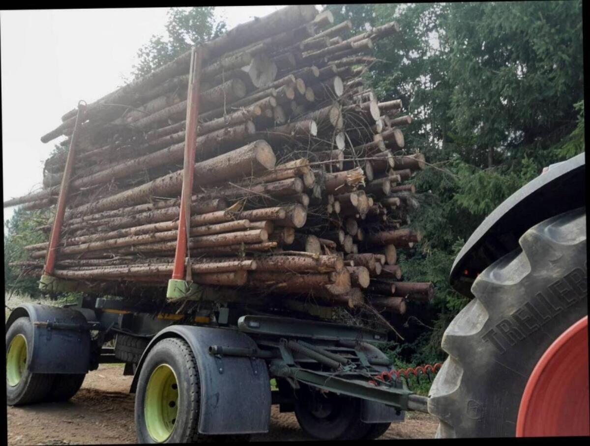 Hackschnitzel Hackgut 3