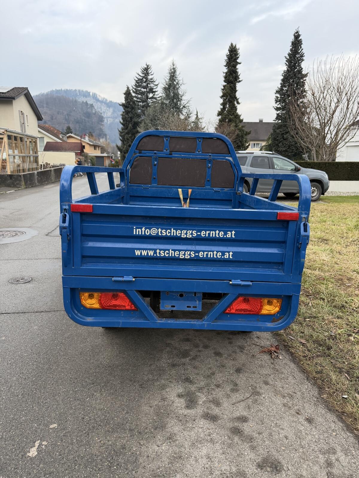 LDR25 Elektro-Lastenrad / Lastentrike - 25 km/h 3