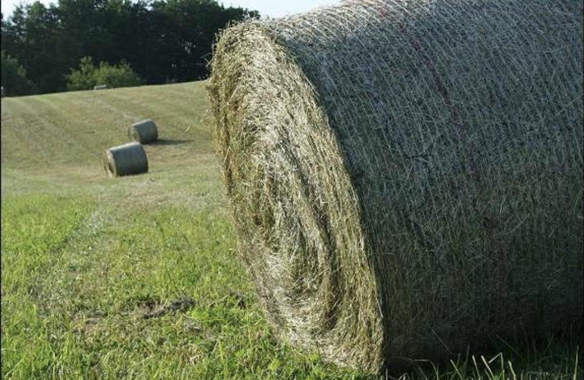 Heuballen, Rundballen 2