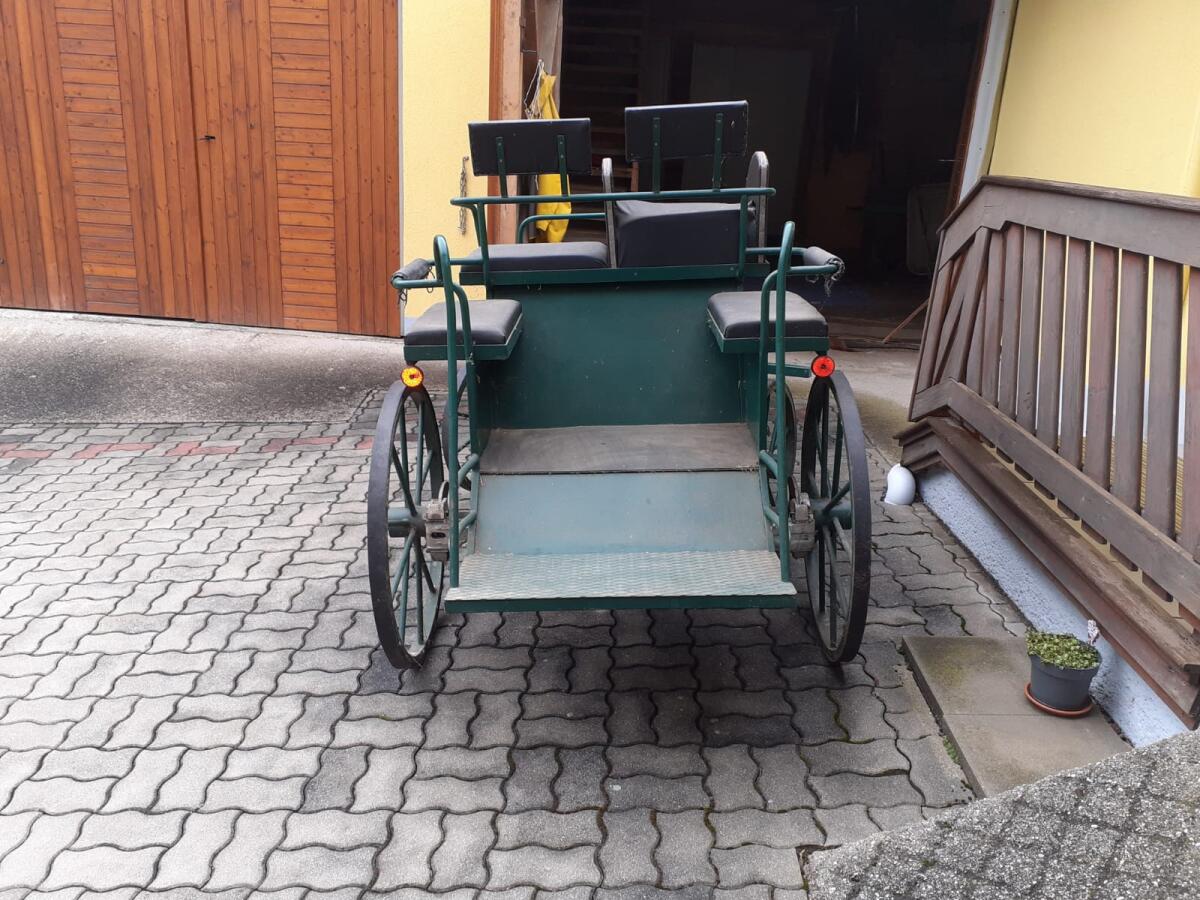 Verkaufe meine Kutsche 2
