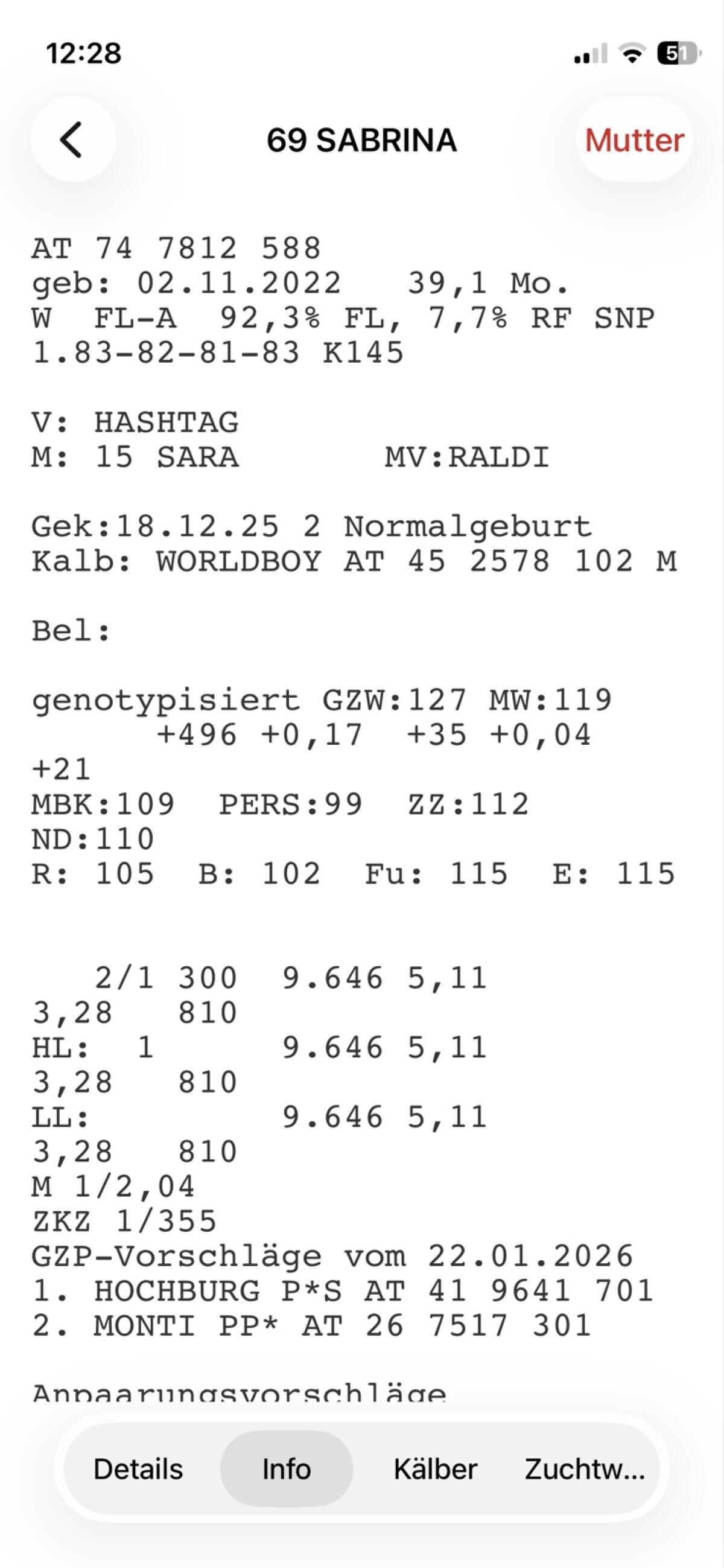 Fleckvieh Zuchtstierkalb 2