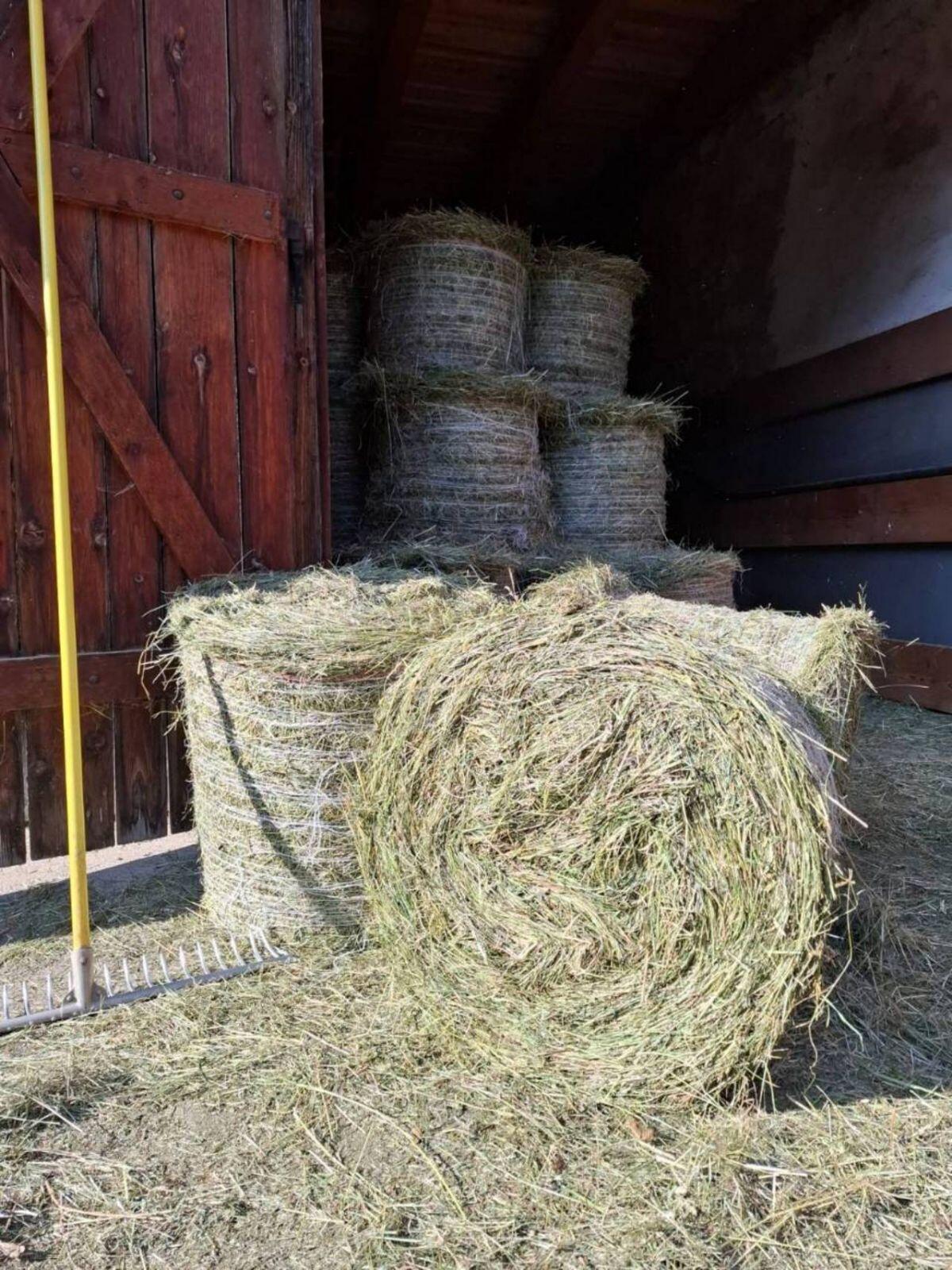 Heurundballen Klein 2