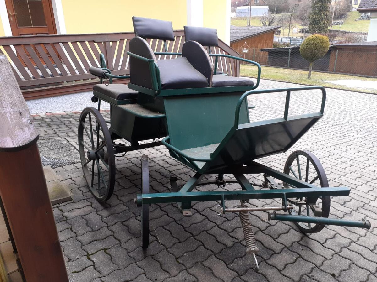 Verkaufe meine Kutsche 3