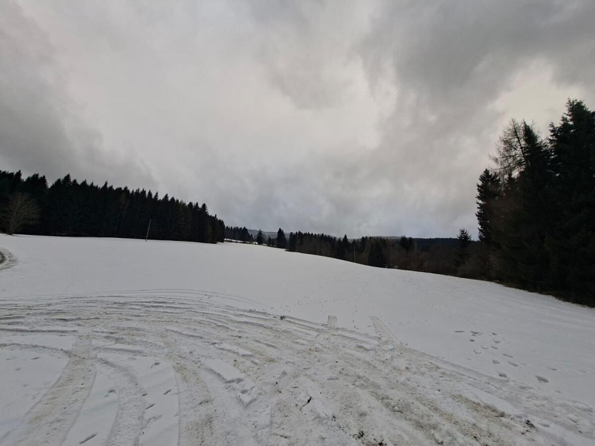 Landwirtschaftliche Fläche 2