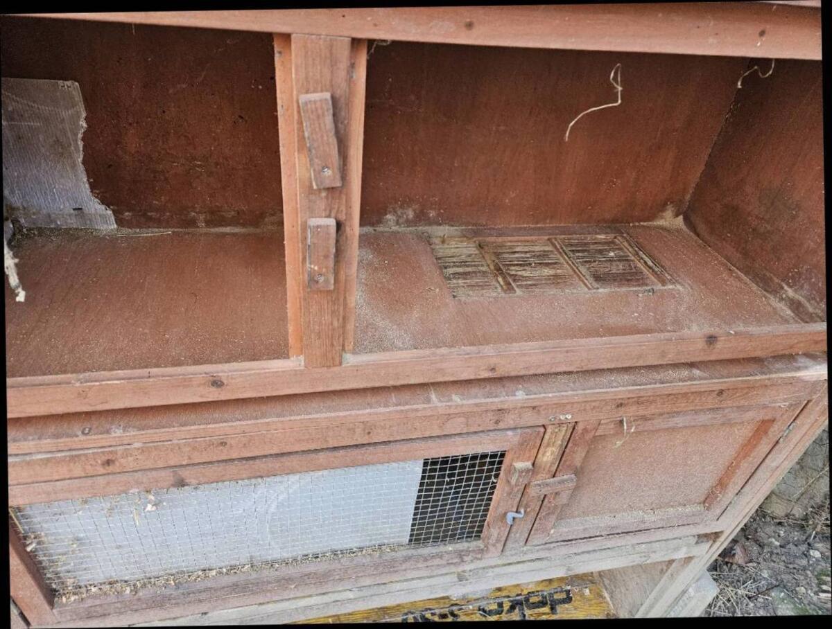 Hasen- und Meerschweinchenstall 2