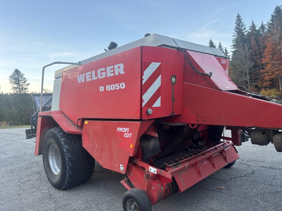 Quaderballenpresse Welger D 6050 3