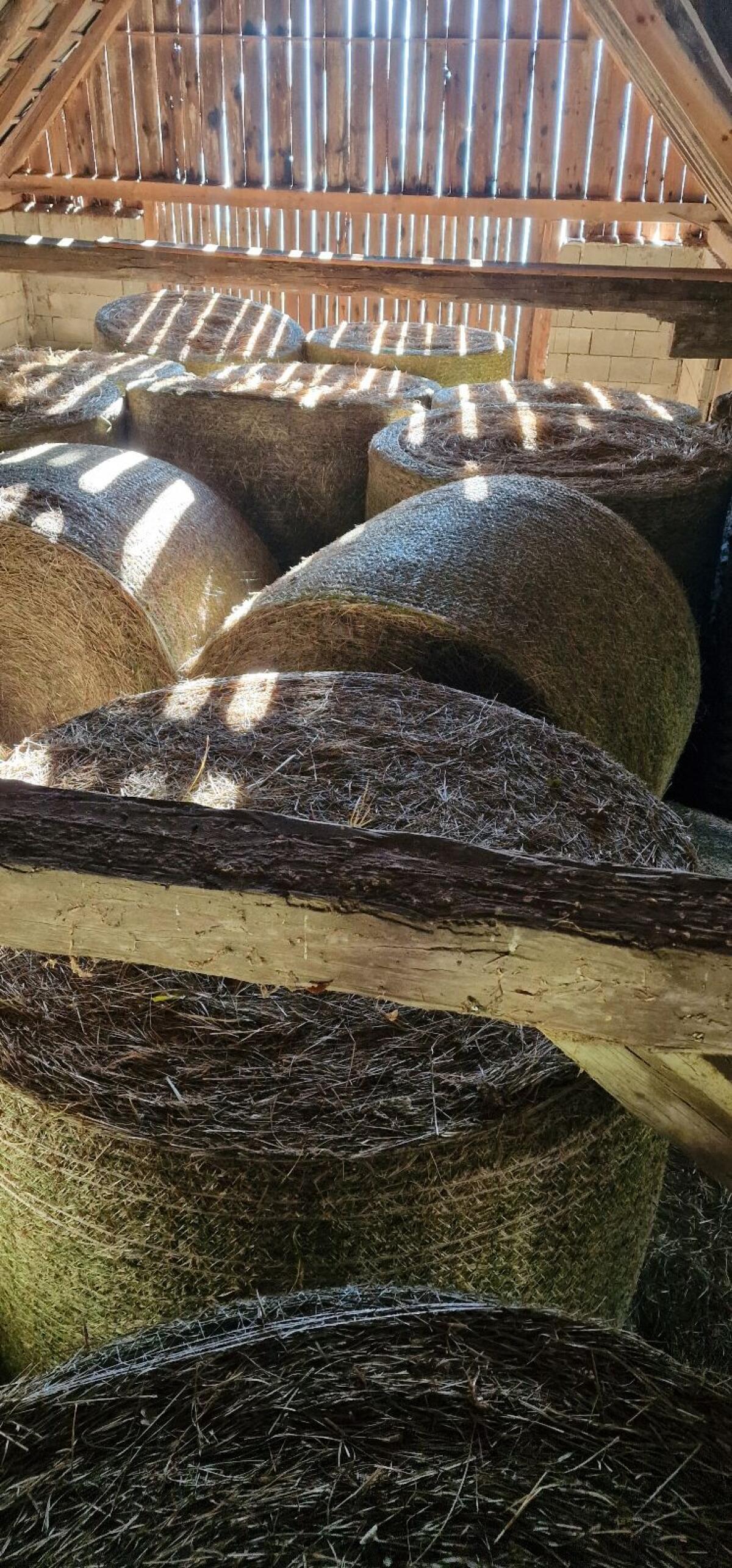 Heuballen zu verkaufen 3