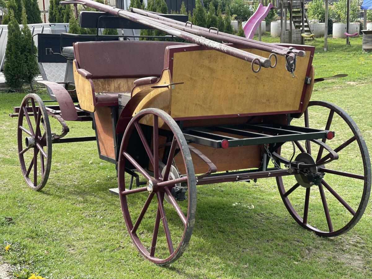 Pferdekutsche Vis-a-Vis 3