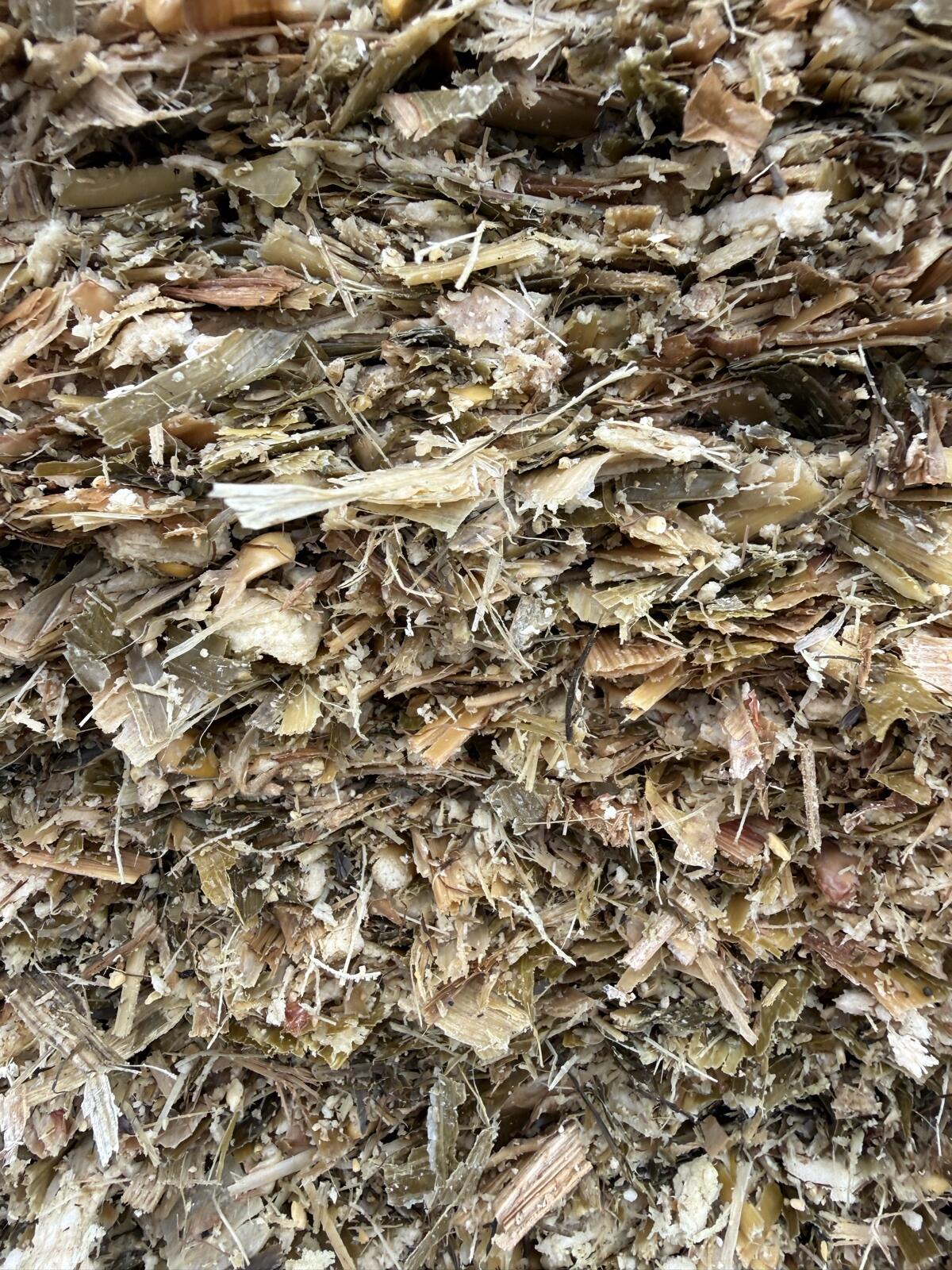 Maissilage und Grassilage 2