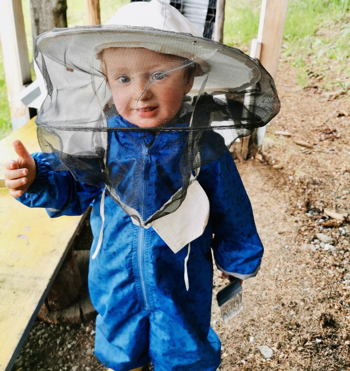 Steirischer Waldhonig 2