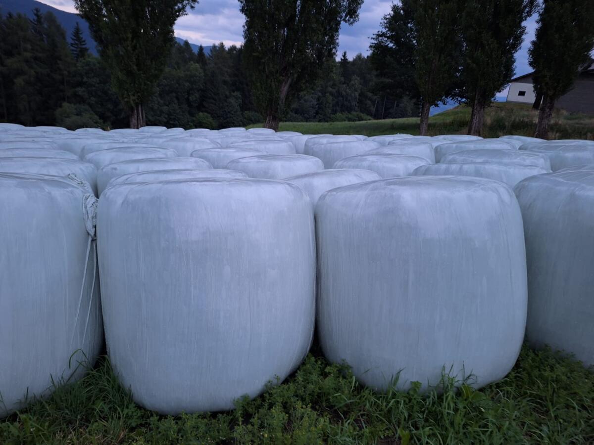 Silageballen 1. Schnitt 2025 3