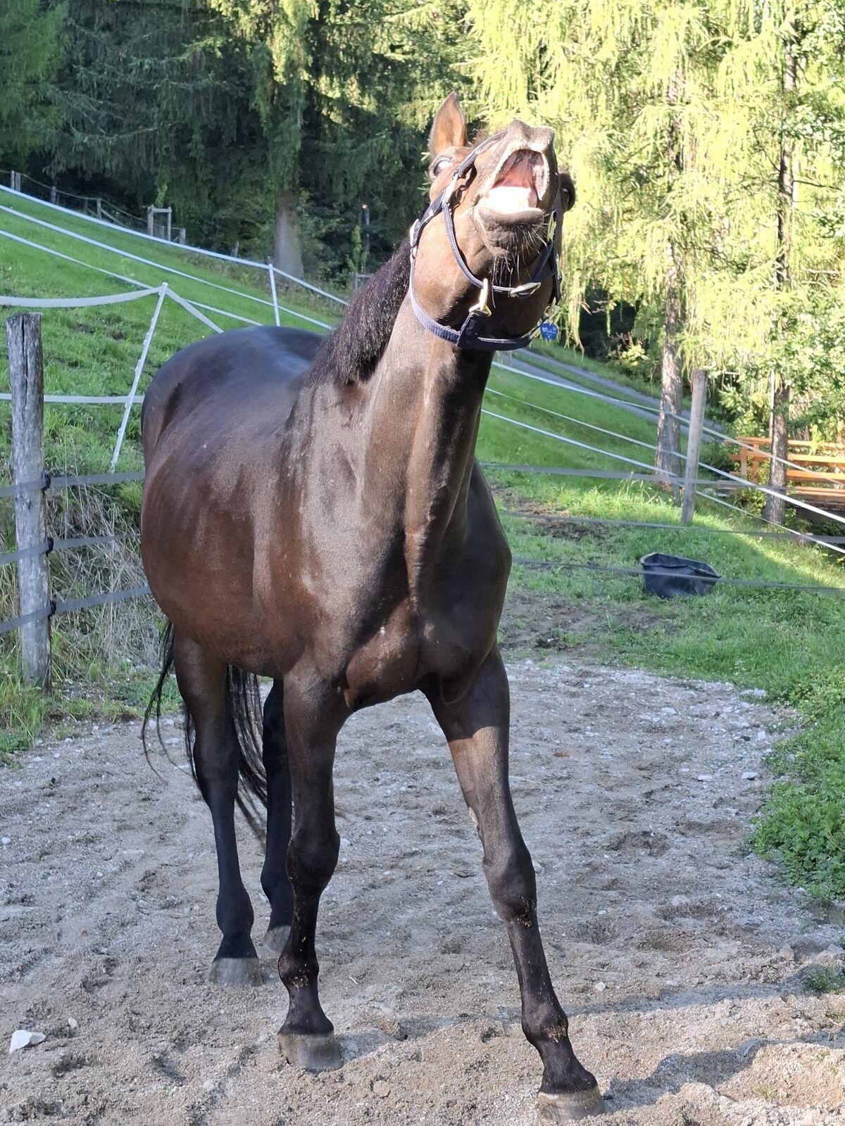 Herausforderung gesucht? 3