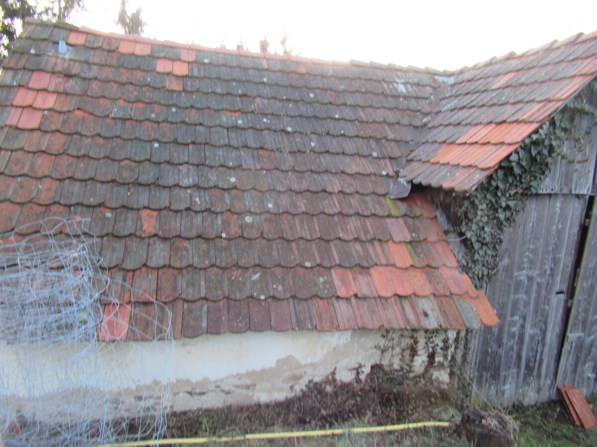 Dachziegel zu verschenken 2