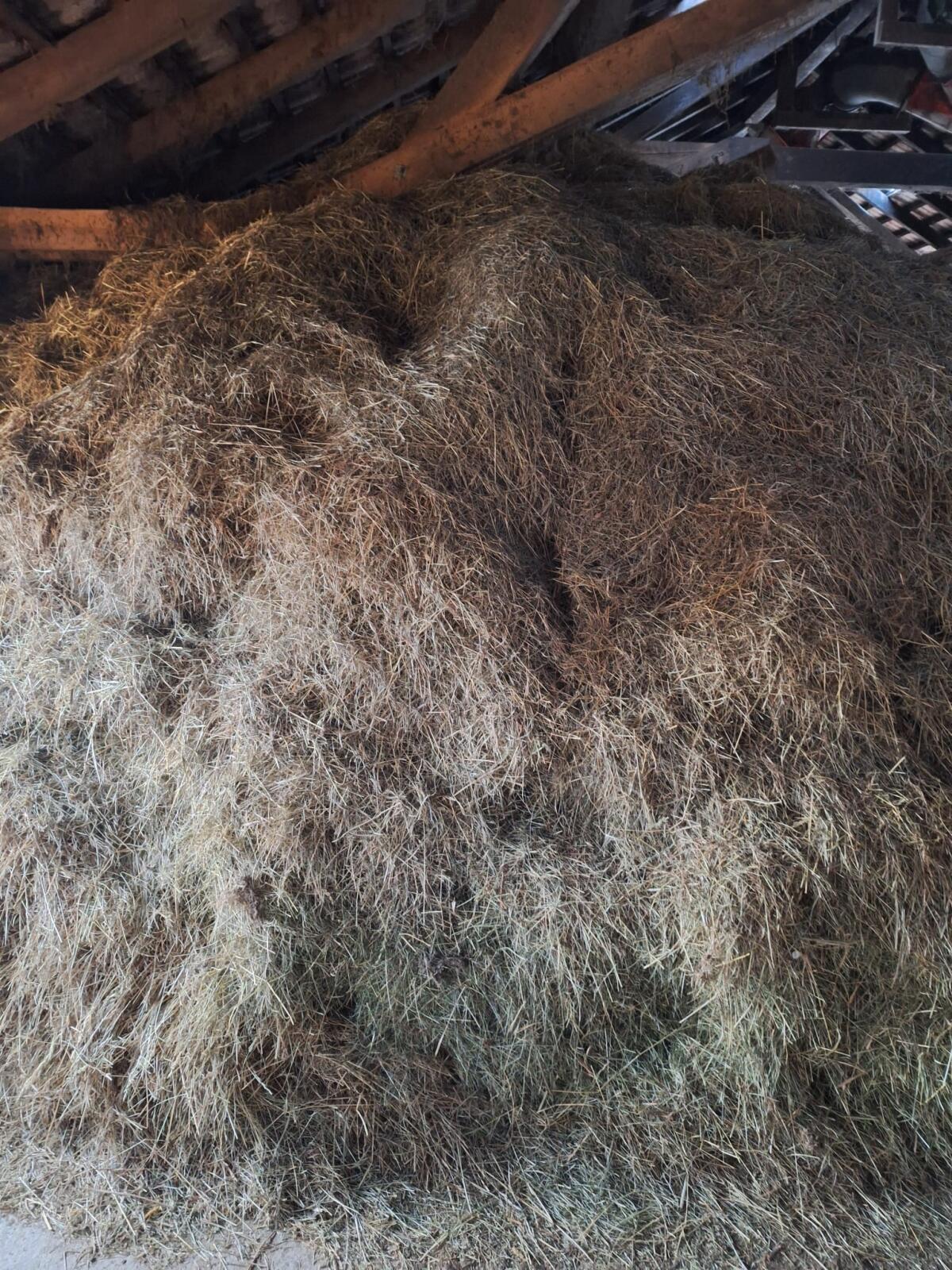 Heu ab Stock zu verschenken 2