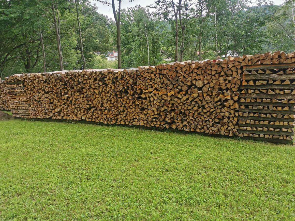 Brennholz: Kiefer Fichte Buche 2