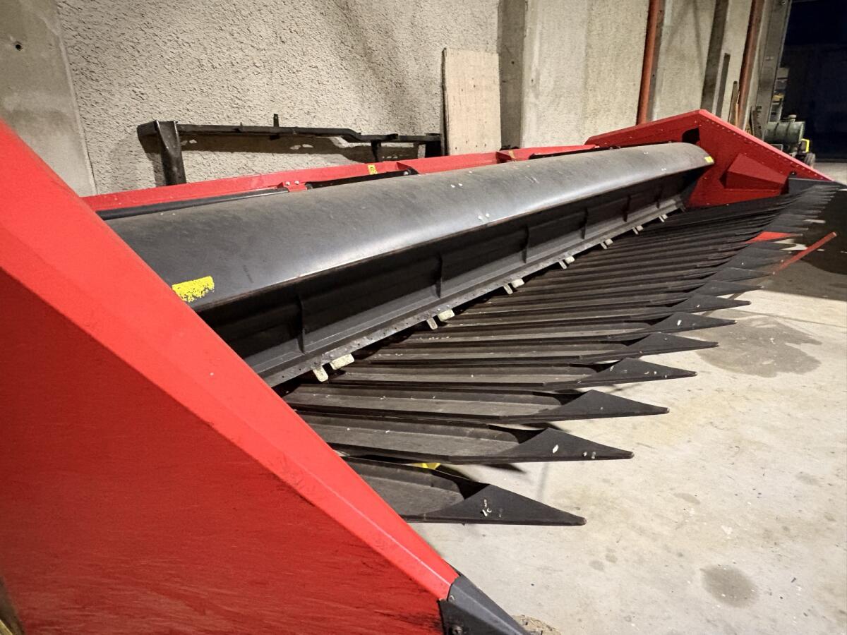 Sonnenblumenschneidwerk 2