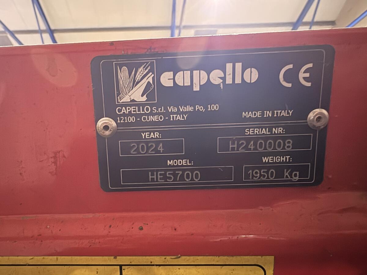 Sonnenblumenschneidwerk 3