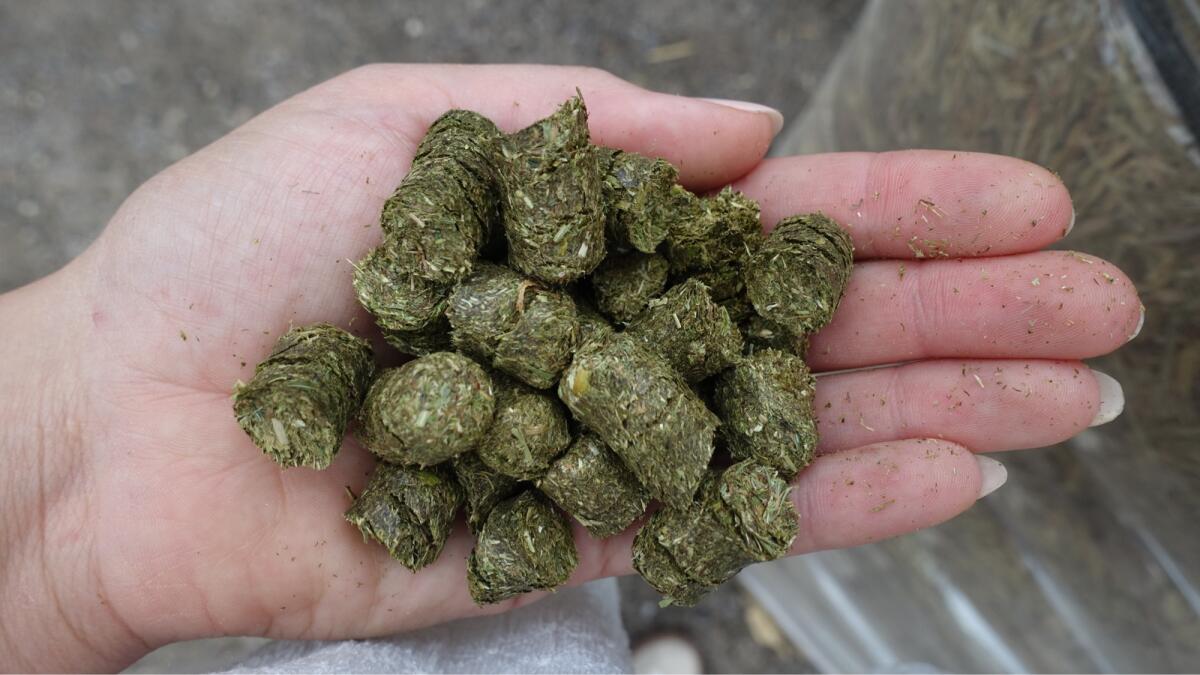 Heucobs - Heupellets 2