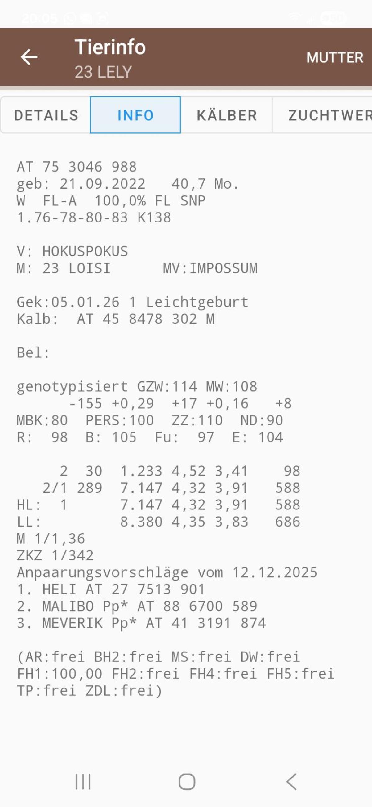 Milchkuh 2 Lak. 40kg 3