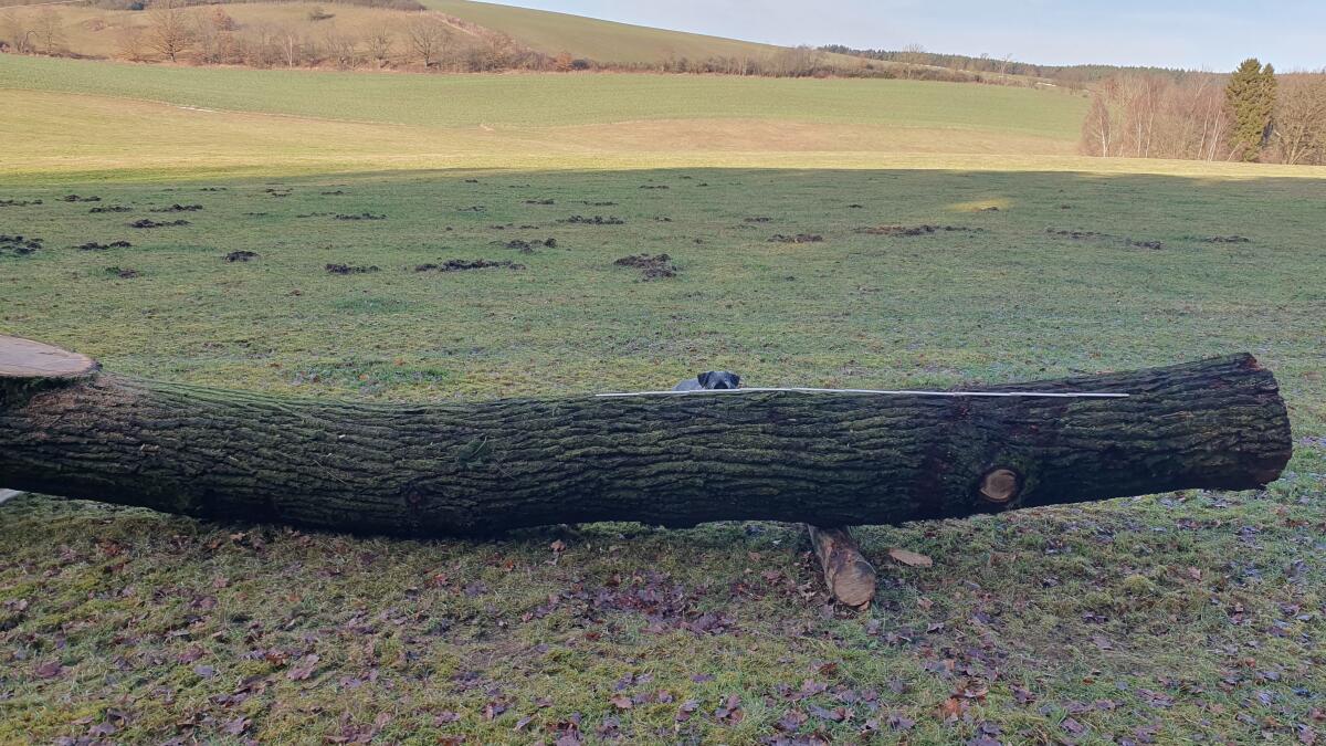 Eichenstamm 12,7 m 3,17 fm 3