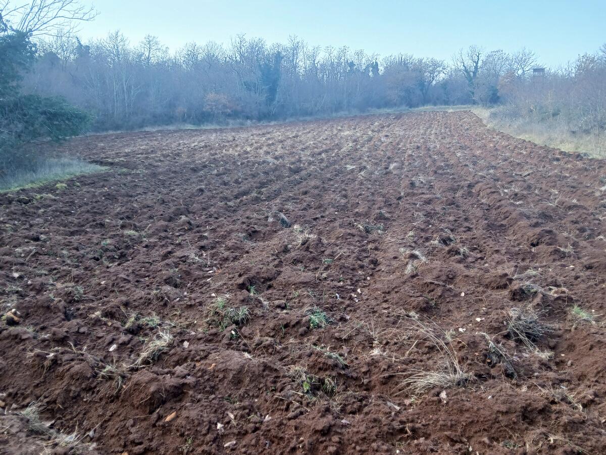 Ackerland-Nähe Meer (Istria-Kroatien)