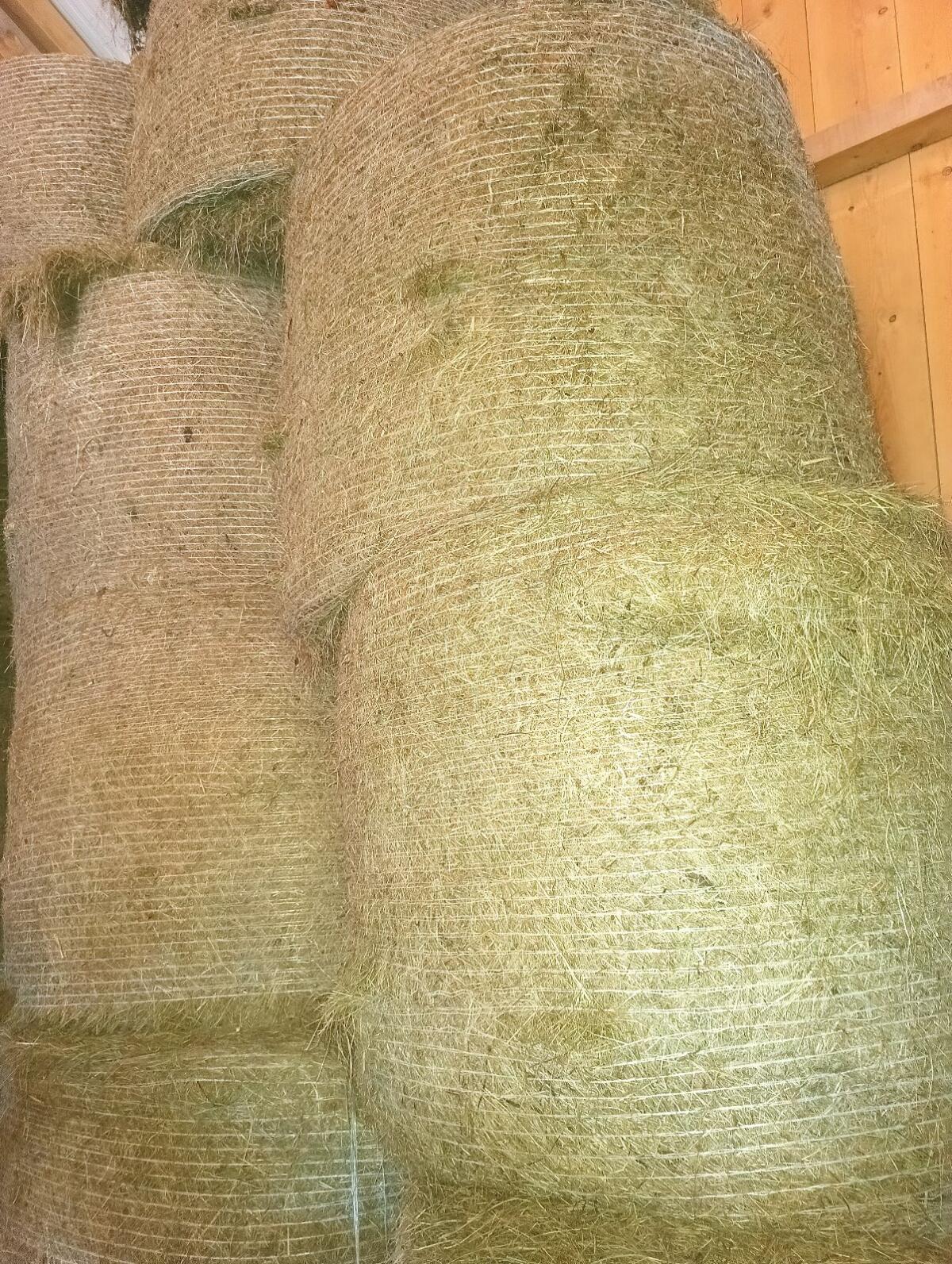 Heuballen 1. und  2. Schnitt, Pferdeheu 3