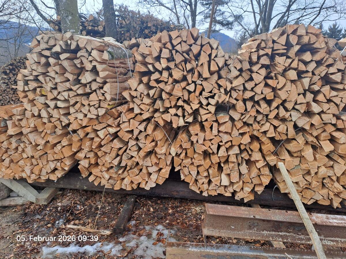 Brennholz 3