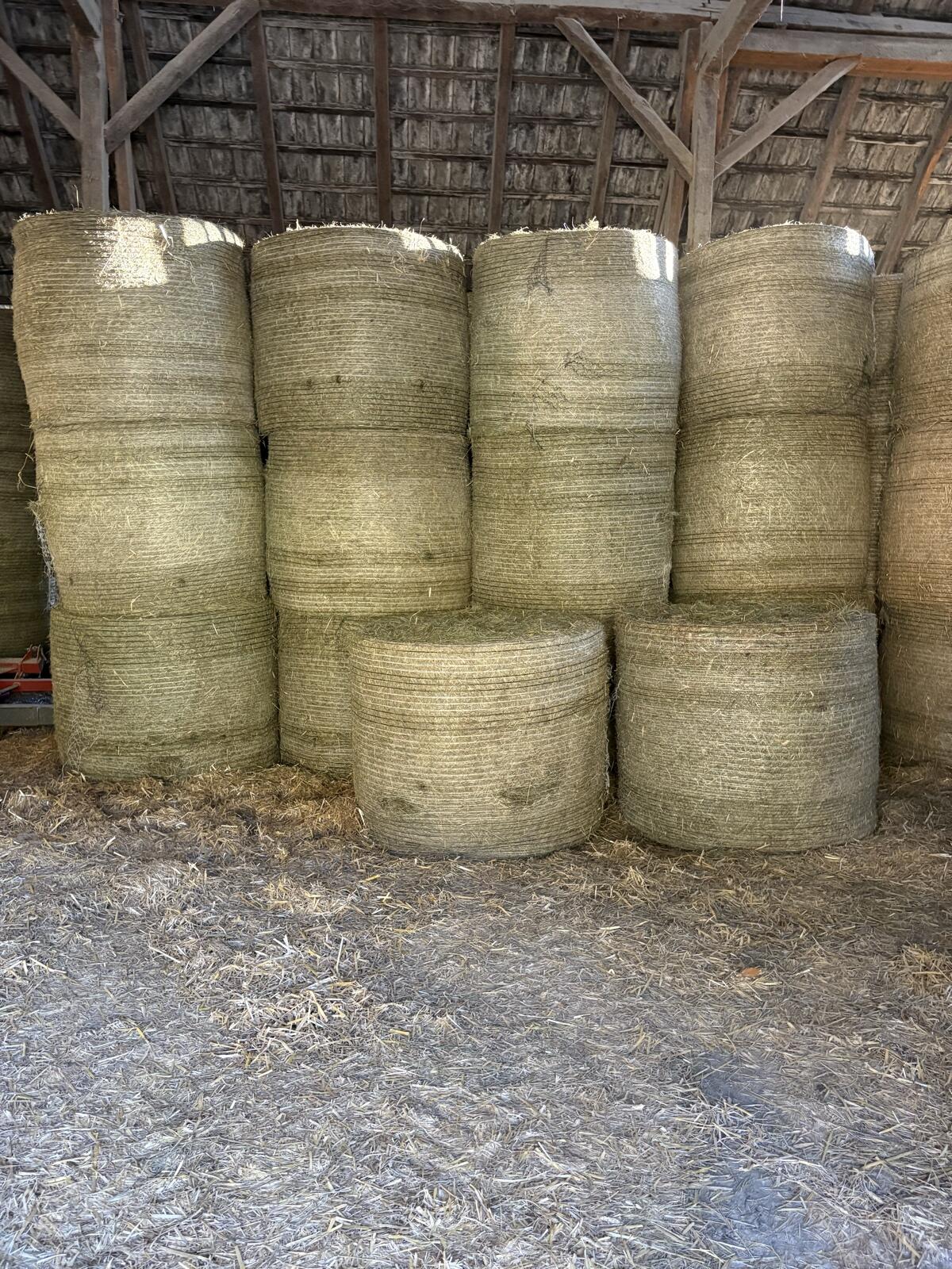 Heuballen 2. Schnitt 3