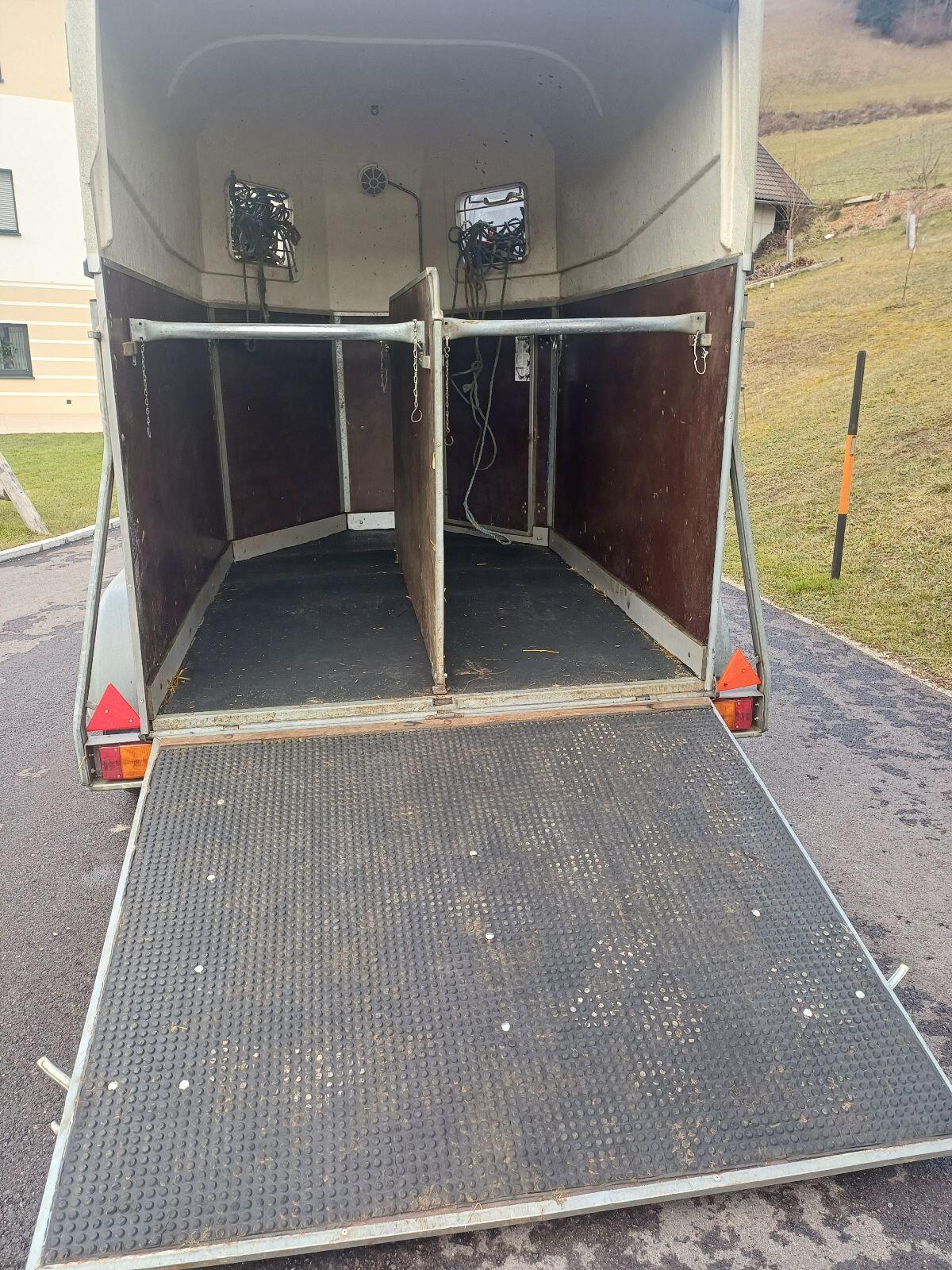 autoviehanhänger 3