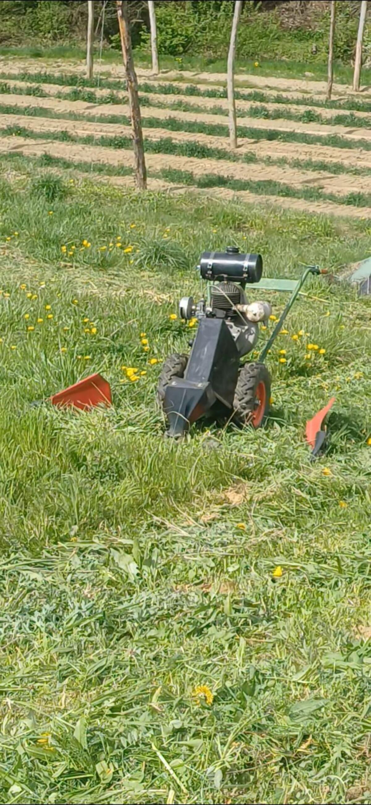 Moty -  Rotax Motormäher (Preis VB) 3