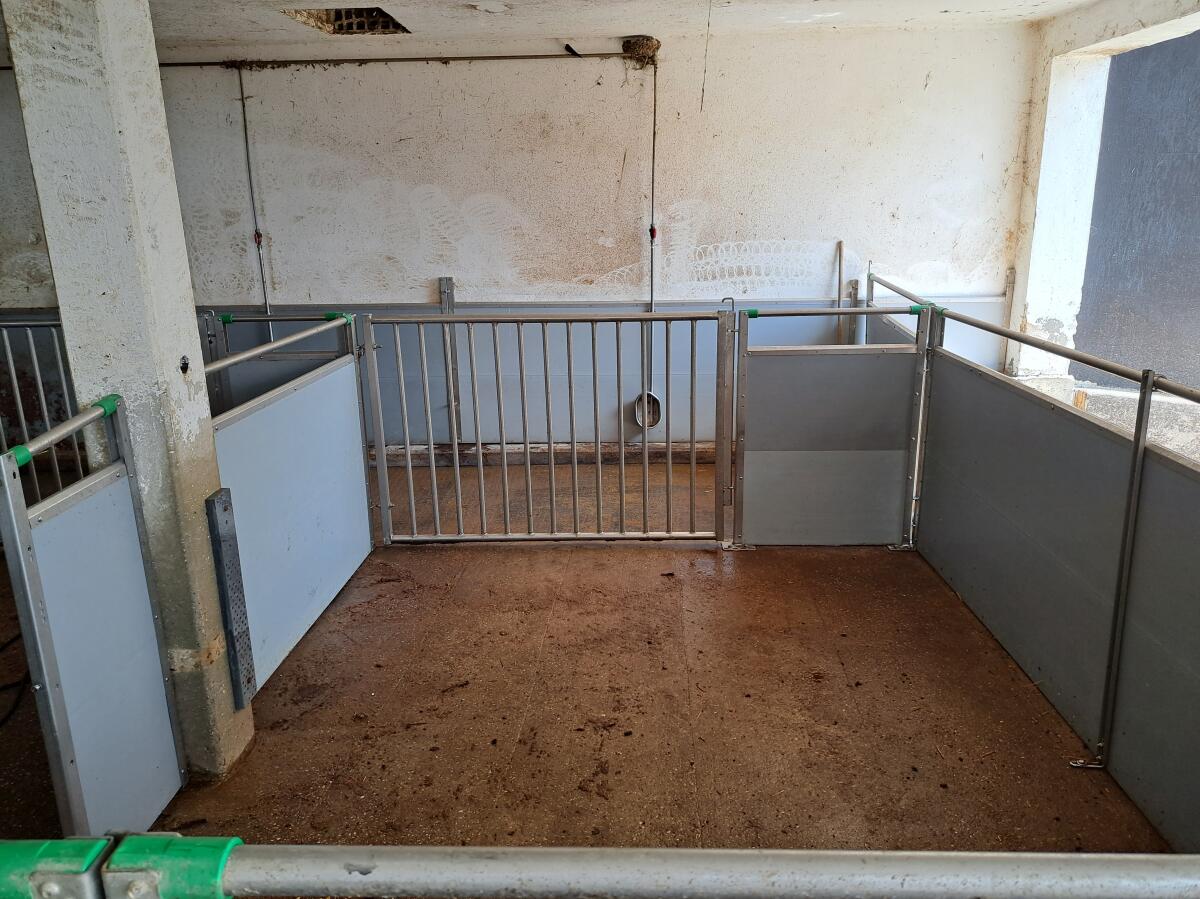 Schweinestallaufstallung 3