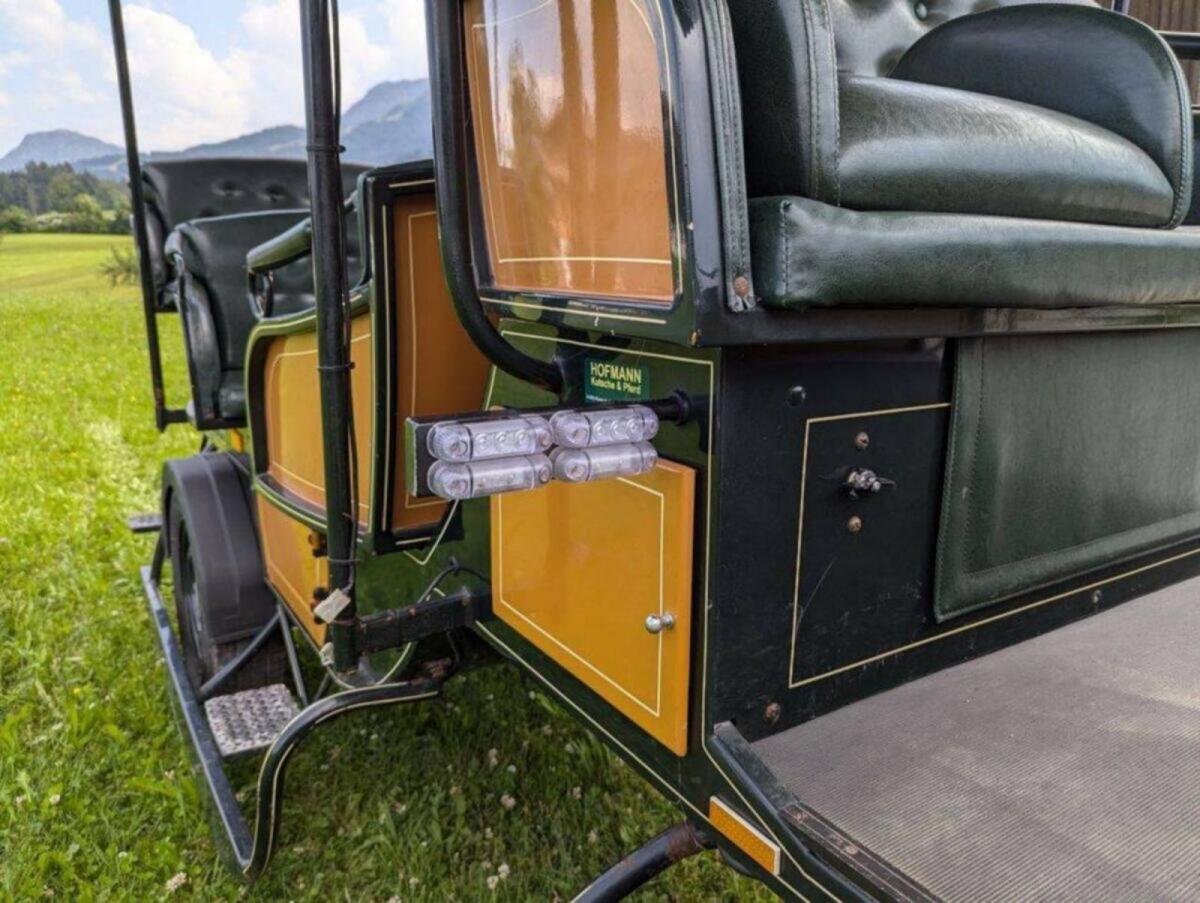 Kutsche für 10 Personen + Kutscher 3