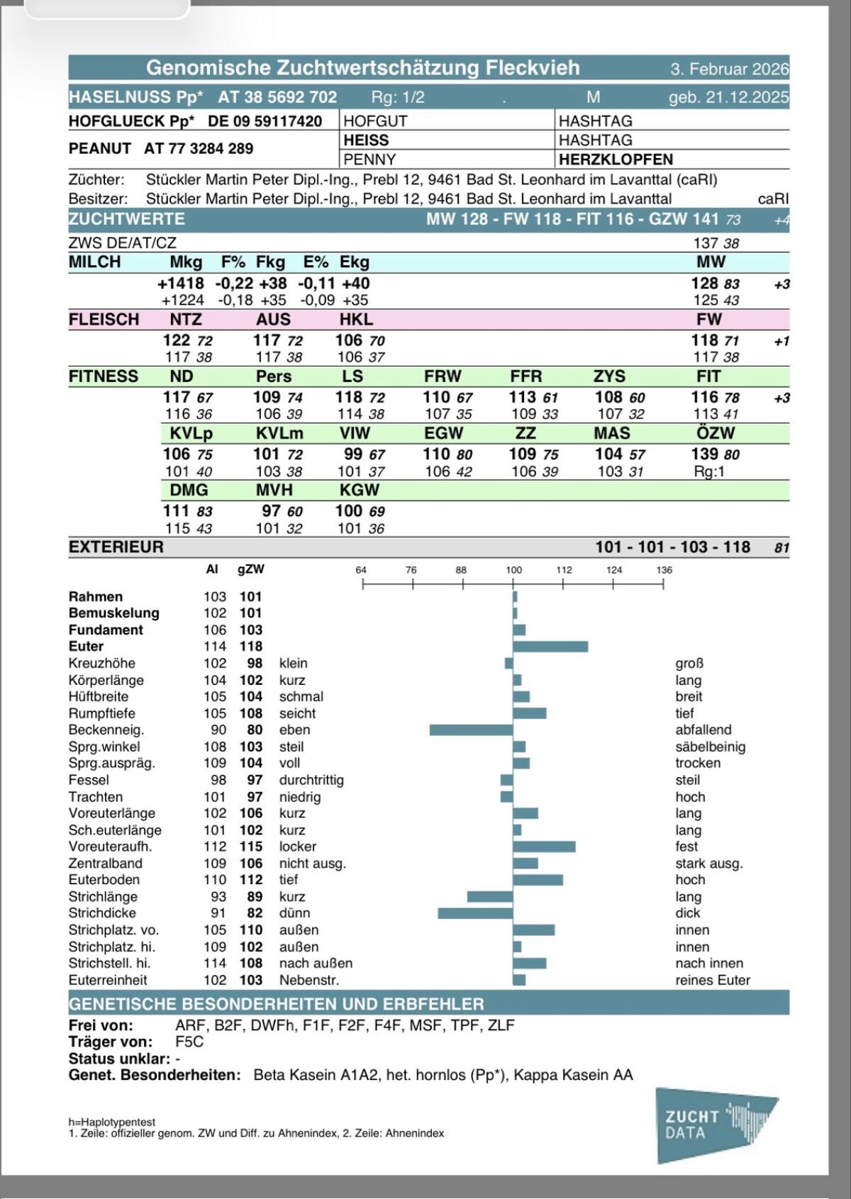 FV Zuchtstierkälber 3