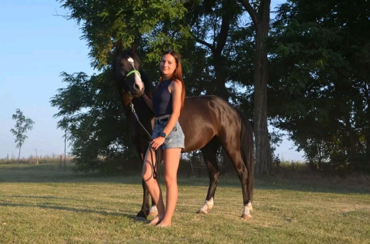 Pitypang Kinderpony 3